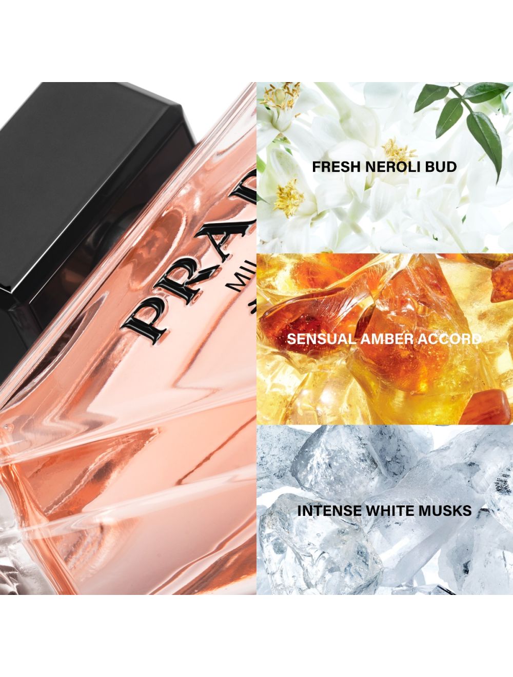 PRADA Paradoxe Eau de Parfum